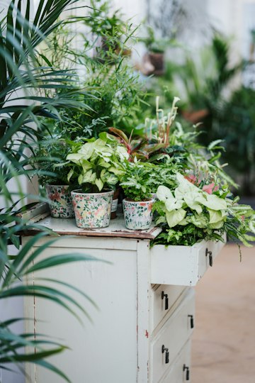 Indoor Floral Display