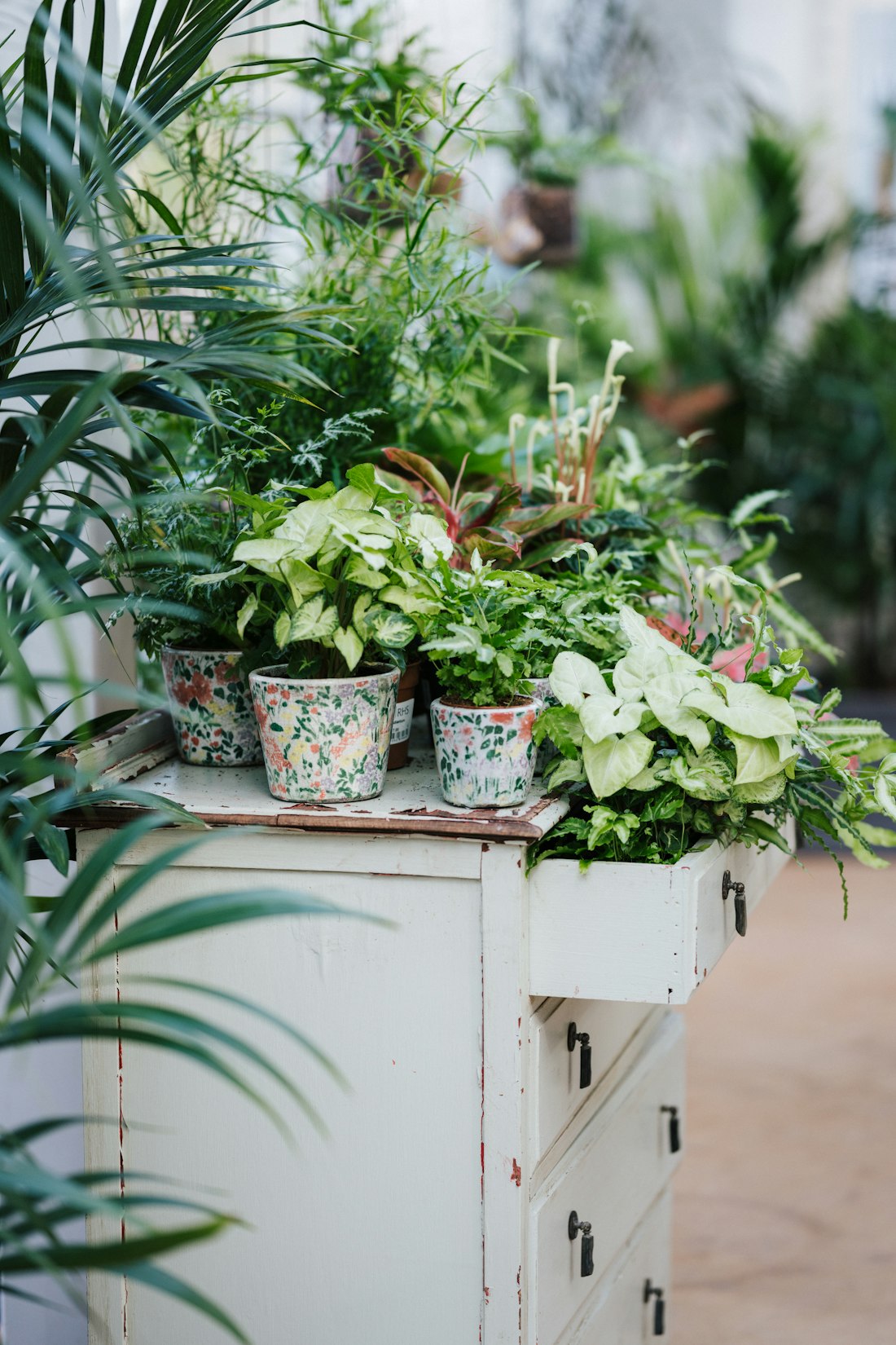 Indoor Floral Display