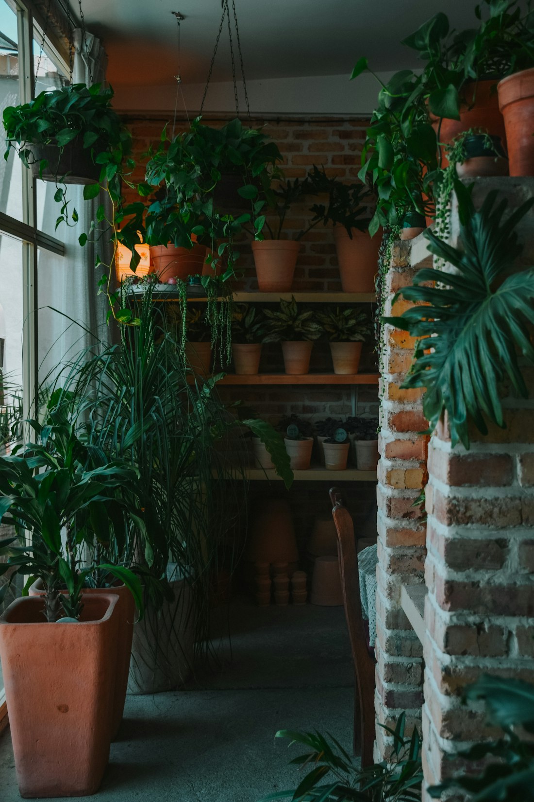 Indoor Potted Plant Display