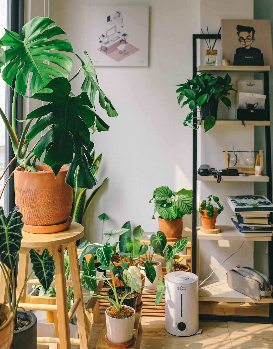 Indoor Houseplant Display