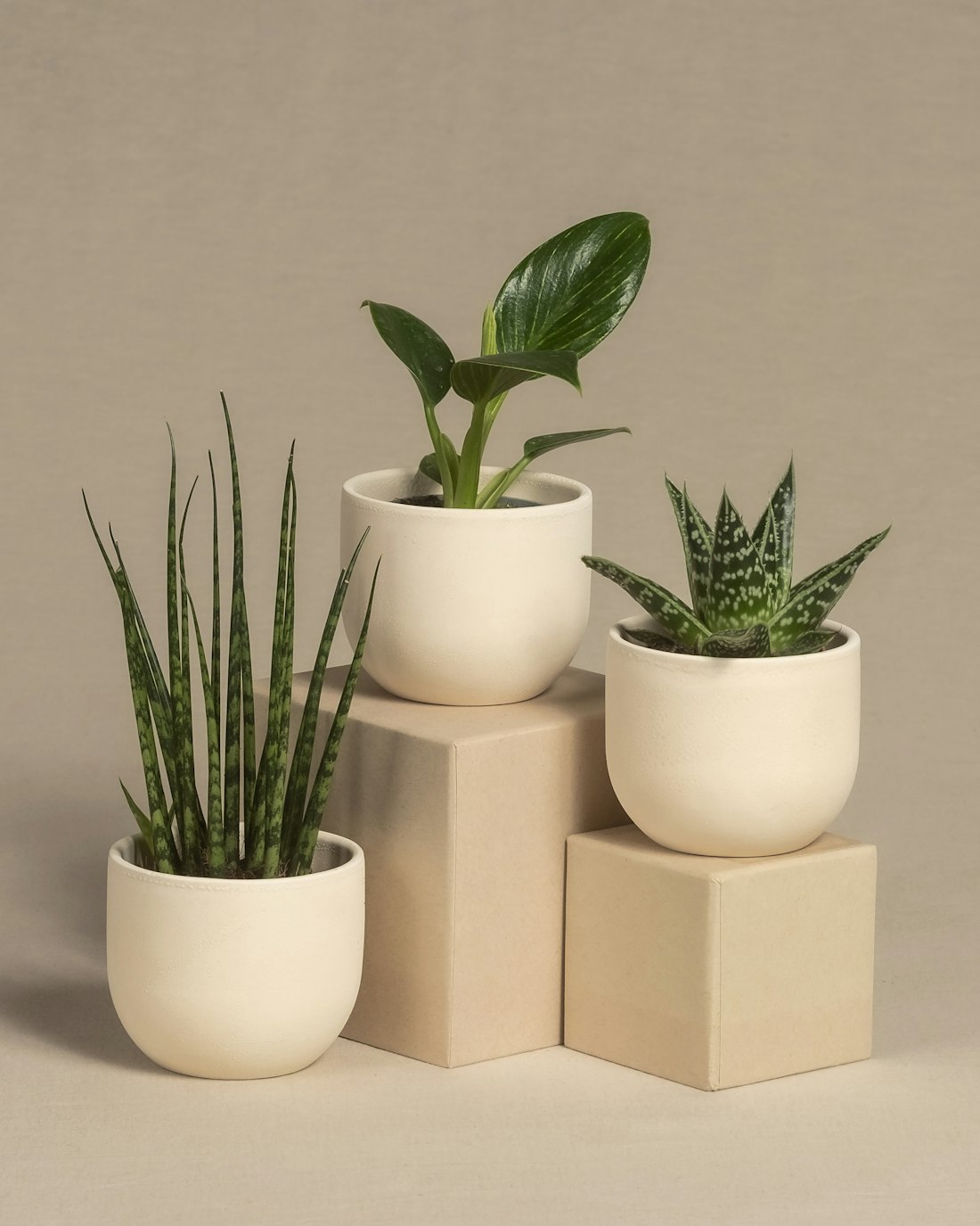 Trio of White Planters