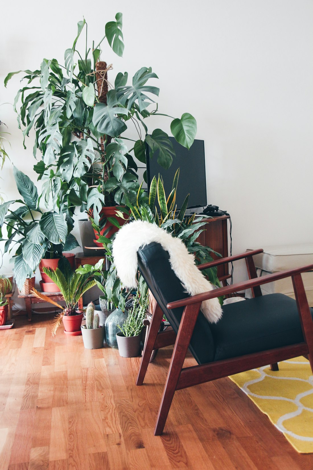 Indoor Plant-Filled Living Space